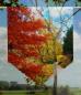 Preview: Herbstfarbenerlebnis Scheibenhänger Gardine mit Saum oben